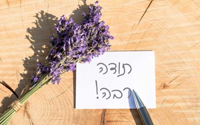 מכתב המלצה פרחוני למטפלת סינית
