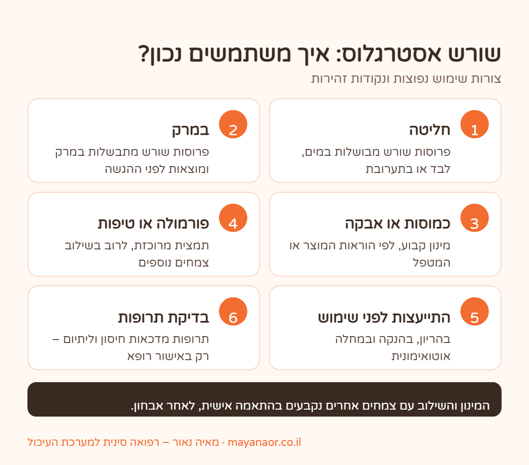 אינפוגרפיקה: צורות שימוש בשורש אסטרגלוס ונקודות זהירות לפני שימוש