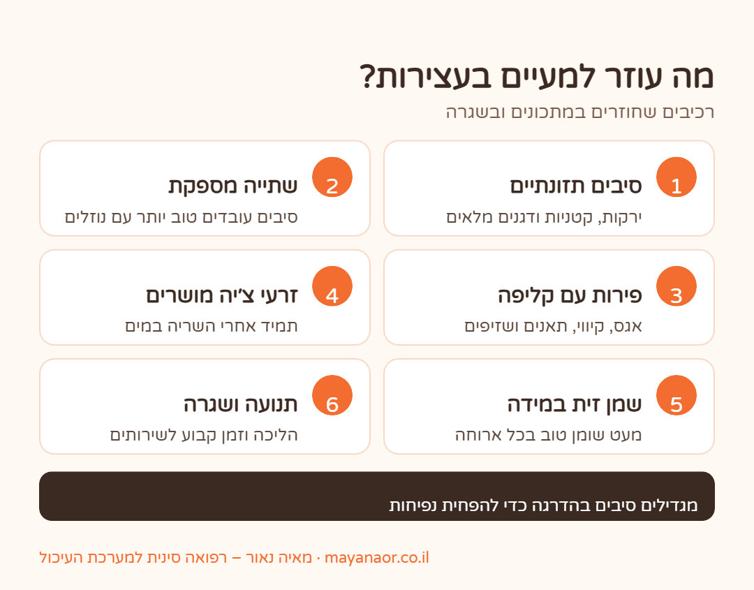 אינפוגרפיקה: מה עוזר למעיים בעצירות – סיבים, שתייה ותנועה