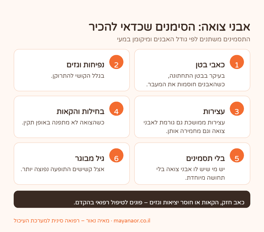 אינפוגרפיקה: הסימנים של אבני צואה – כאבי בטן, נפיחות וגזים, עצירות, בחילות והקאות, ומתי לפנות לרופא