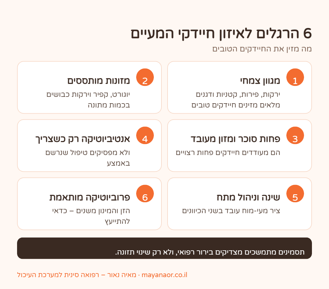 אינפוגרפיקה: 6 הרגלים לאיזון חיידקי המעיים – תזונה, מזונות מותססים, שינה ופרוביוטיקה