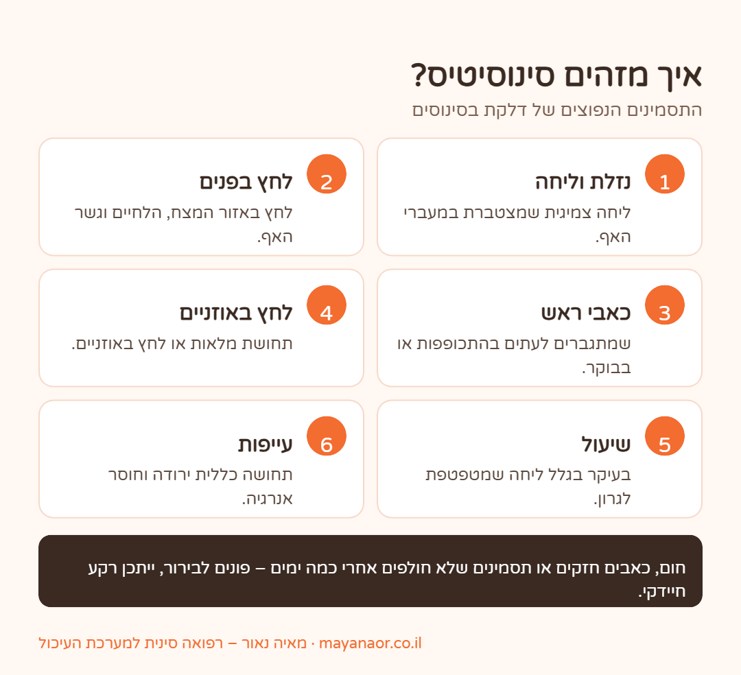 אינפוגרפיקה: תסמיני סינוסיטיס – נזלת וליחה, לחץ בפנים, כאבי ראש, לחץ באוזניים, שיעול ועייפות