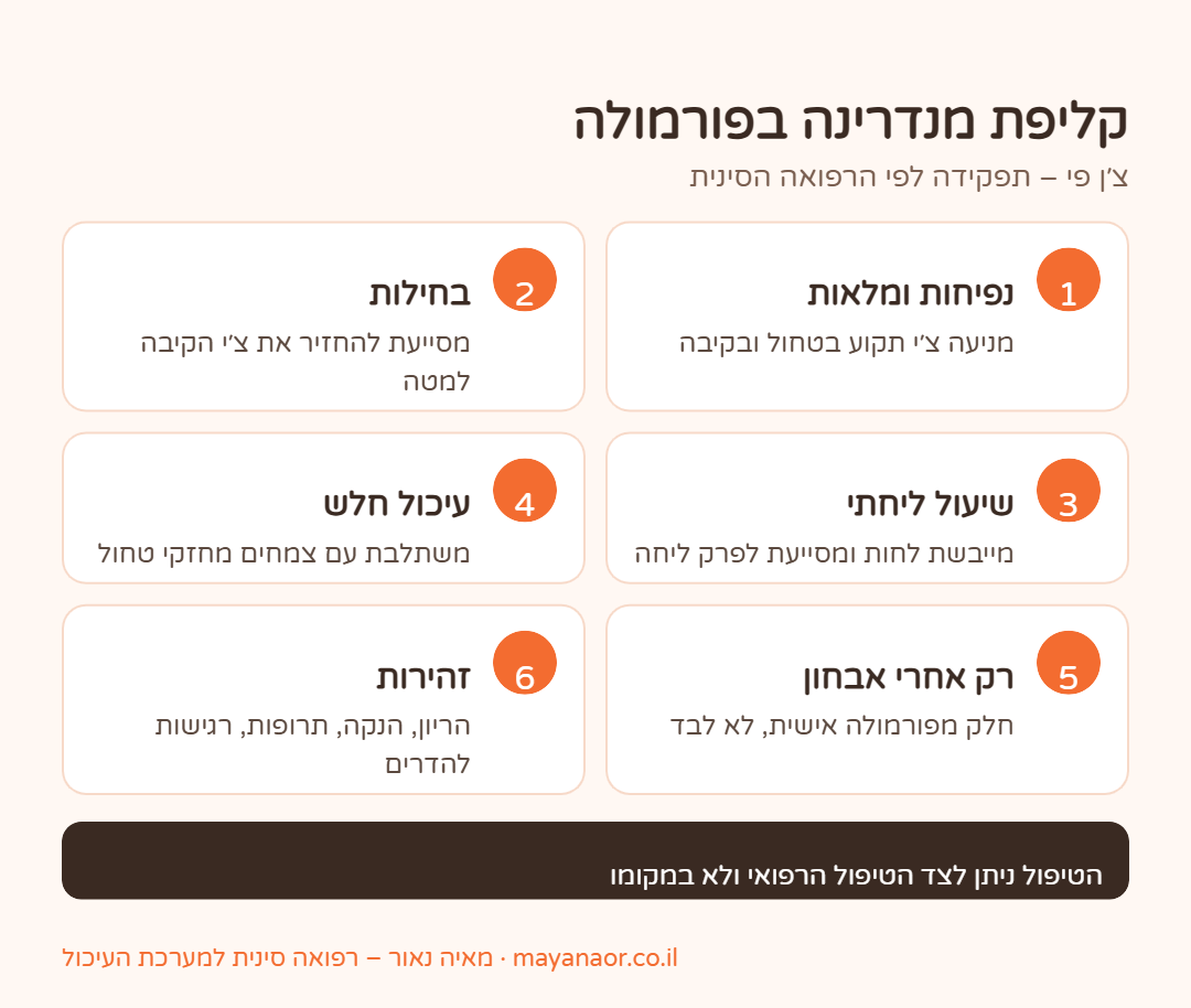 אינפוגרפיקה: תפקידי קליפת מנדרינה (צ׳ן פי) ברפואה הסינית